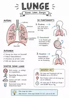 Vorschau - Arbeitsblätter - Lernplakat + Arbeitsblätter zum Thema "Lunge" + Lösung & MP3 + Mindmap + Infografik - Deckblatt