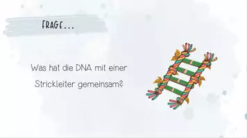 Vorschau - Präsentationen/Tafelbilder - Genetik: DNA und RNA | Biologie 12 | fertige Unterrichtsstunde | sofort einsetzbar - Seite 1