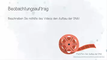 Vorschau - Präsentationen/Tafelbilder - Genetik: DNA und RNA | Biologie 12 | fertige Unterrichtsstunde | sofort einsetzbar - Seite 2