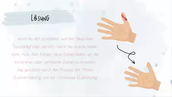 Vorschau - Unterrichtsreihen - Genetik: Zellzyklus, Proteinbiosynthese | Biologie 12 | fertige Unterrichtsstunden | sofort einsetzbar - Seite 2