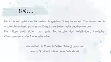 Vorschau - Unterrichtsreihen - Genetik: Zellzyklus, Proteinbiosynthese | Biologie 12 | fertige Unterrichtsstunden | sofort einsetzbar - Seite 3
