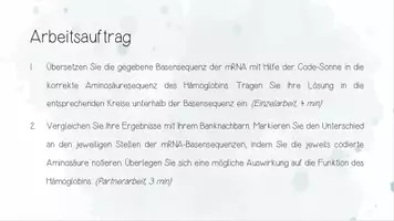 Vorschau - Arbeitsblätter - Genetik: Proteine | Biologie 12 | 2 fertige Unterrichtsstunden | sofort einsetzbar - Seite 2