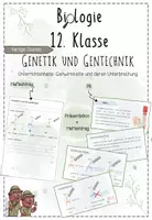 Vorschau - Präsentationen/Tafelbilder - Genetik: Genwirkkette und deren Unterbrechung | Biologie 12 | 2 fertige Unterrichtsstunden | sofort einsetzbar - Deckblatt