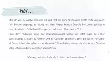 Vorschau - Präsentationen/Tafelbilder - Genetik: Genregulation, Epigenetik, Stammzellen | Biologie 12 | 2 fertige Unterrichtsstunden | sofort einsetzbar - Seite 1