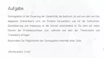 Vorschau - Präsentationen/Tafelbilder - Genetik: Genregulation, Epigenetik, Stammzellen | Biologie 12 | 2 fertige Unterrichtsstunden | sofort einsetzbar - Seite 3