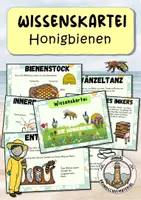 Vorschau - Merkblätter - Honigbienen Wissenskartei | Bienen - Deckblatt