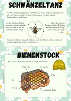 Vorschau - Merkblätter - Honigbienen Wissenskartei | Bienen - Seite 2
