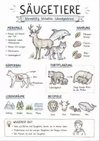 Vorschau - Arbeitsblätter - Lernposter + AB mit Fragen zum Thema "Säugetiere" + Lösungsblatt + Mindmap + Infografik - Deckblatt