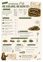 Vorschau - Arbeitsblätter - Blindschleiche – kostenloses Materialpaket für Sachunterricht & Naturbildung | Bella Wildherz - Seite 3