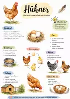Vorschau - Arbeitsblätter - Lernplakat + Arbeitsblätter zum Thema "Huhn" + Lösung & MP3 + Mindmaps + Infografik - Deckblatt