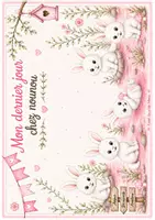 Aperçu - Affichage - Kit diplôme et pancartes d'accueil lapin - Page 2