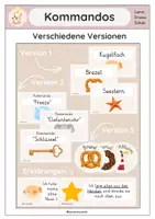 Vorschau - Merkblätter - Kommando - Regeln, Rituale, Classroom, Organisation - Deckblatt