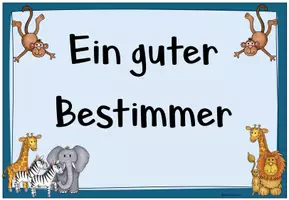 Vorschau - Bildkarten - Klassensprecher:in - Verhalten und Eigenschaften ("Bestimmer sein") - Seite 3