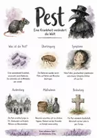 Vorschau - Arbeitsblätter - Lernposter + Arbeitsblätter zum Thema "Pest" + Lösung & MP3 + Mindmap + Infografik - Deckblatt