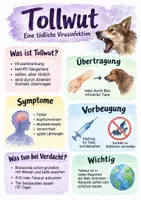 Vorschau - Arbeitsblätter - Lernposter + AB mit Fragen zum Thema "Tollwut" + Lösungsblatt + Mindmap + Infografik - Deckblatt