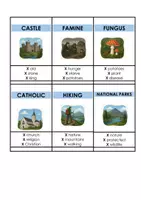 Vorschau - Spiele - WELCOME TO IRELAND Materialpaket (More! 4 Unit 1) Dublin - Seite 3