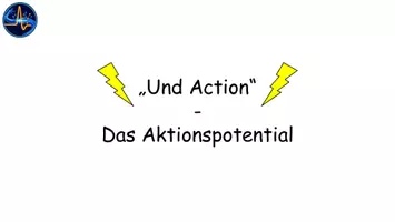 Vorschau - Stundenentwürfe - Aktionspotential – Ionentheorie & Ablauf | Interaktive Stunde Oberstufe mit Präsentation, Arbeitsblättern, Simulation & Lösungen - Seite 3