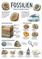 Vorschau - Arbeitsblätter - Lernposter + Arbeitsblätter zum Thema "Fossil" + Lösung & MP3 + Mindmap + Infografik - Deckblatt