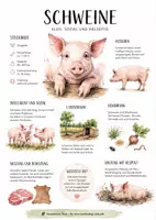 Vorschau - Arbeitsblätter - Lernposter + Arbeitsblätter zum Thema "Schwein" + Lösung & MP3 + Mindmap + Infografik - Deckblatt