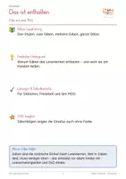 Vorschau - Arbeitsblätter - GRATIS - Silben-Detektiv - Leseblatt mit Silbenfärbung - Seite 1