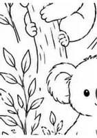 Vorschau - Poster - kooperatives Klassenposter Klassentier Koala - Seite 3