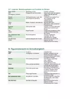 Vorschau - Unterrichtsreihen - Die Mitte der Welt (Andreas Steinhöfel) – Figurenanalyse & Figurennetz: Phil, Dianne, Glass, Nicholas, Kat, das alte Haus | Familie, erste Liebe, Identität | Kl. 9–13 - Seite 2