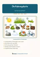 Vorschau - Arbeitsblätter - Die Nahrungskette – Lesespurgeschichte mit Rätselaufgaben (Klasse 7) - Seite 1