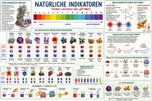 Vorschau - Arbeitsblätter - Materialpaket - pH-Wert und Indikatoren - Seite 1