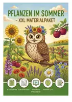 Vorschau - Arbeitsblätter - Pflanzen im Sommer – XXL Materialpaket (16 Pflanzen, Steckbriefe, Ausmalbilder, Präsentation) - Seite 1
