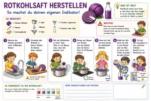 Vorschau - Arbeitsblätter - Rotkohlsaft - Herstellen und testen eines natürlichen Indikators - Seite 1