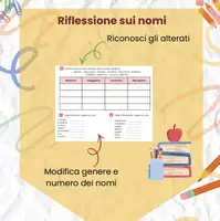anteprima - Esercizi - Verifica di Morfologia (Nomi,Articoli,Preposizioni,Analisi) - Pagina 3