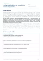 Vorschau - Arbeitsblätter - Arbeitsblatt Biologie Klasse 8 - Aufbau und Funktion des menschlichen Verdauungssystems - Deckblatt