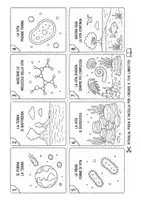 anteprima - Esercizi - La nascita della vita sulla Terra - schede didattiche - Pagina 3