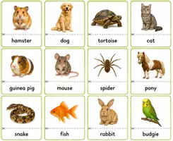 Vorschau - Poster - pets - Seite 1