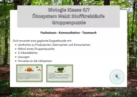Vorschau - Arbeitsblätter - Ökosystem Wald: Stoffkreisläufe - Gruppenpuzzle, Klasse 7/8 - Deckblatt