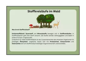 Vorschau - Arbeitsblätter - Ökosystem Wald: Stoffkreisläufe - Gruppenpuzzle, Klasse 7/8 - Seite 2