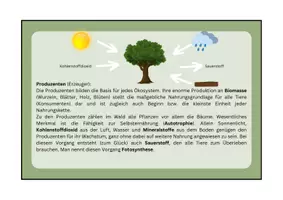 Vorschau - Arbeitsblätter - Ökosystem Wald: Stoffkreisläufe - Gruppenpuzzle, Klasse 7/8 - Seite 3