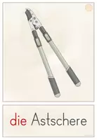 Vorschau - Präsentationen/Tafelbilder - Gartengeräte | Tafelmaterial | Bild- und Wortkarten | Schulgarten - Seite 3