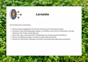 Vorschau - Arbeitsblätter - Keimung & Wachstum von Kresse – Schülerexperimente mit Protokoll | Biologie Klasse 5/6 - Seite 1