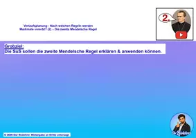 Vorschau - Stundenentwürfe - Nach welchen Regeln werden Merkmale vererbt? (2) – 2. Mendelsche Regel - Seite 1