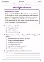 Vorschau - Arbeitsblätter - Basisscreening Zusammenfassen Klasse 5–6 - Seite 2