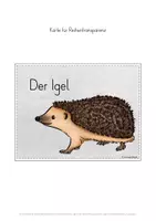 Vorschau - Stundenentwürfe - Igel Winterschlaf Tiere im Winter Unterrichtseinheit - Seite 2