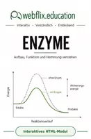 Vorschau - Arbeitsblätter - Enzymlabor – interaktives Lernmodul zur Enzymatik - Deckblatt