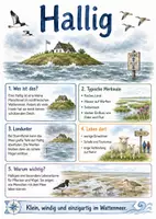 Vorschau - Arbeitsblätter - Lernposter + Arbeitsblätter zum Thema "Hallig" + Lösung & MP3 + Mindmap + Infografik - Deckblatt