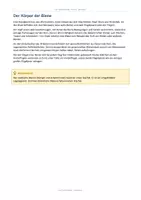 Vorschau - Arbeitsblätter - Die Tierforscher, Die Biene, Mini, Körperbau - Seite 2