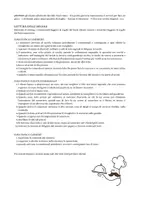 anteprima - Compiti in classe/Test - Tutti al ristorante: un menù da 1 a 20! - Pagina 2
