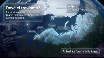 anteprima - Schede informative - La tundra europea - Pagina 1