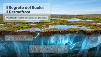 anteprima - Schede informative - La tundra europea - Pagina 2