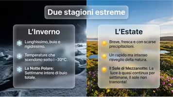 anteprima - Schede informative - La tundra europea - Pagina 3