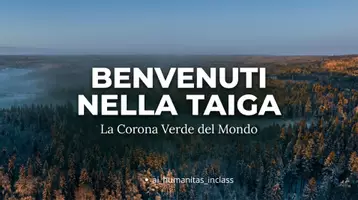 anteprima - Schede informative - La Taiga - Pagina di copertina